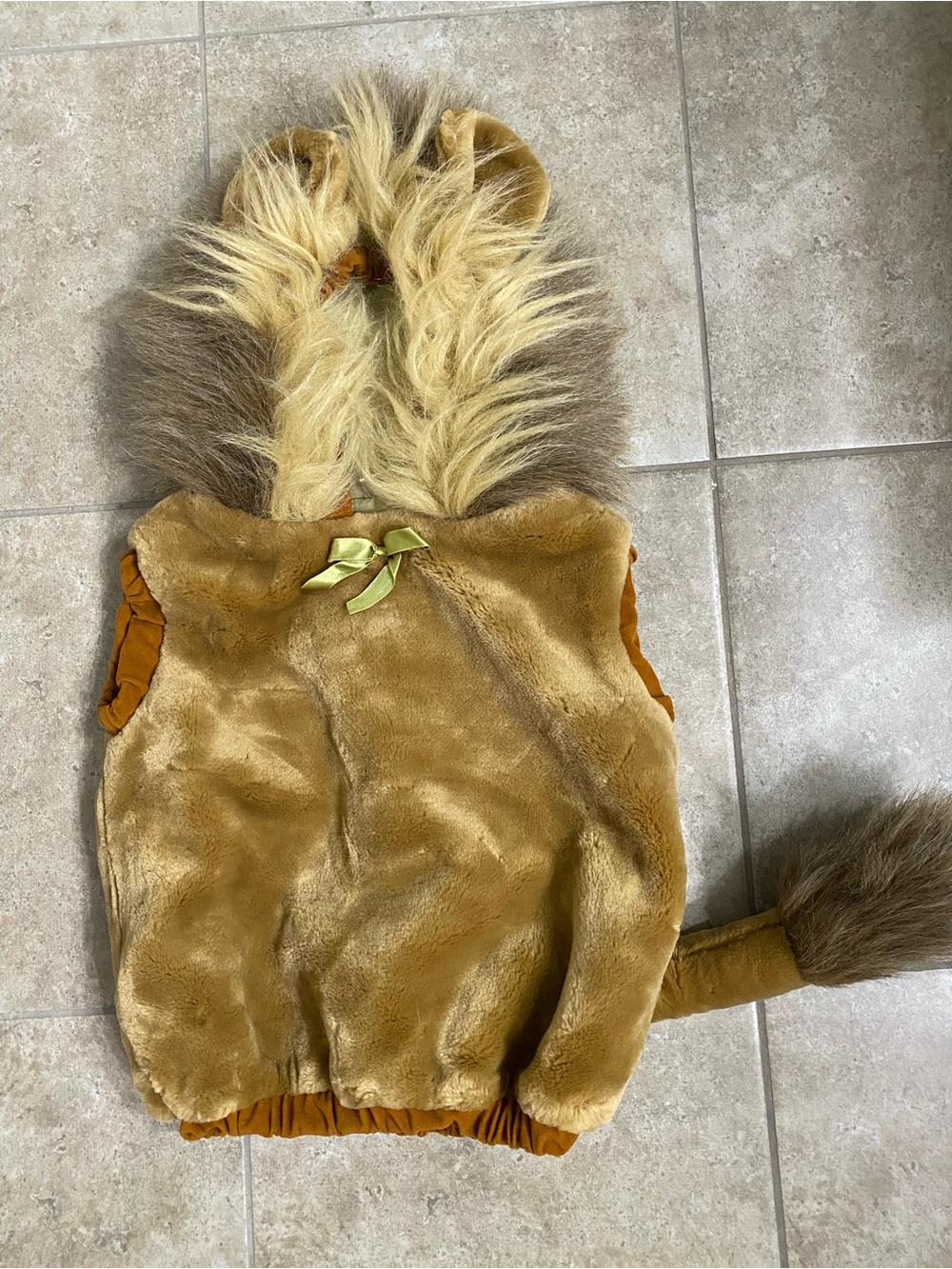 Lion Halloween Costume - Wizard of Oz